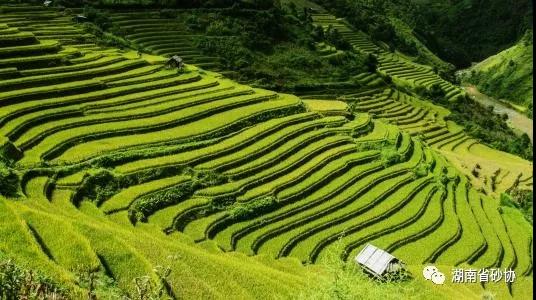 暫無頭像